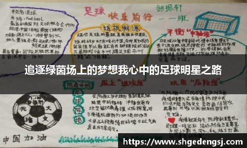 追逐绿茵场上的梦想我心中的足球明星之路